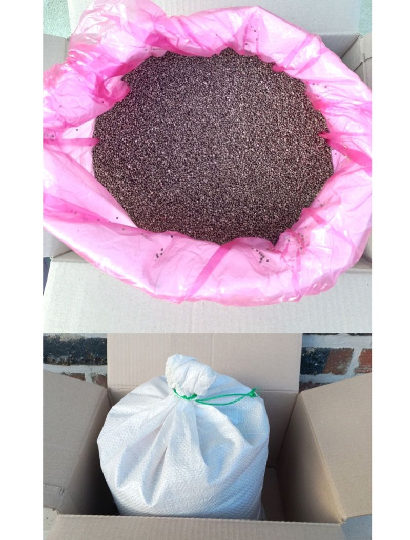 장터 상품 [2022년 통들깨 6kg(한말)] 썸네일