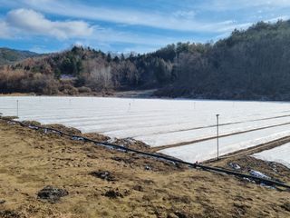 이재진님의 양파 · 자유게시판 작성글 사진