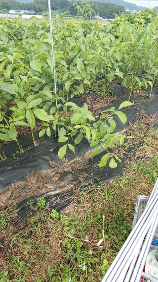 신승우님의 작성글 사진