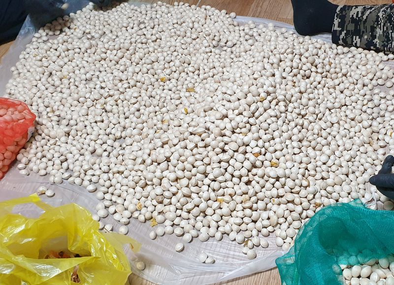 잡곡류님의 장터 판매 상품 [피은행 판매] 첨부 사진