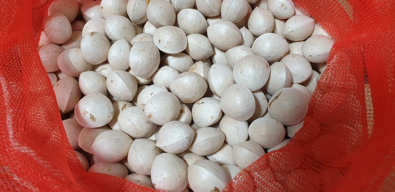 장터 상품 [피은행 판매] 썸네일