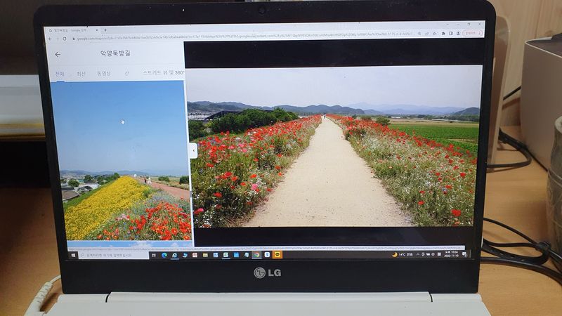 유창남님의 장터 판매 상품 [설향딸기1키로(500g*2팩)] 첨부 사진