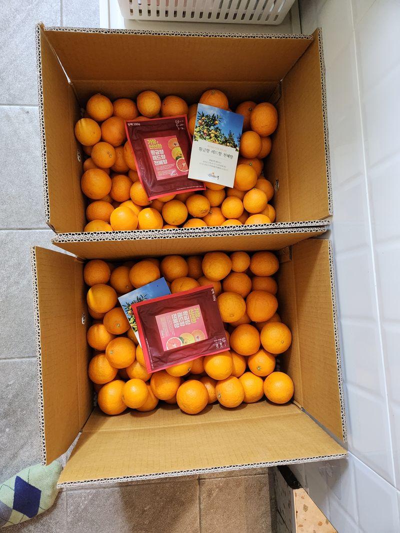 이경율님의 장터 판매 상품 [황금향10kg] 첨부 사진