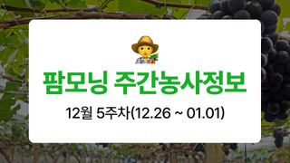 포도 농사도우미님의 포도 · 농사길잡이 작성글 사진