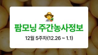 배 농사도우미님의 배 · 자연재해•동물피해 작성글 사진