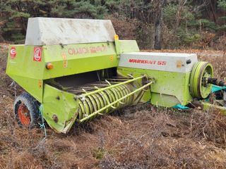 이정환님의 기타작물 · 자유게시판 작성글 사진