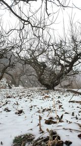 팜모닝 기타작물·자유게시판 게시글 이미지