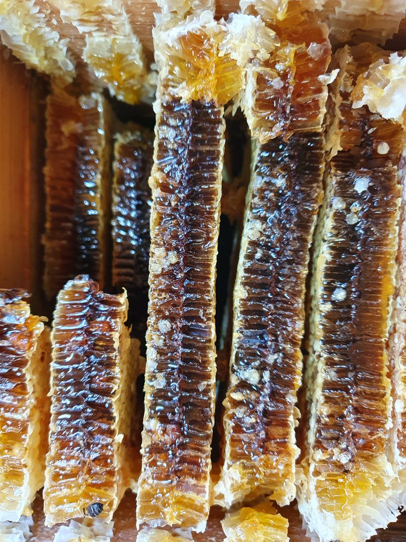 장터 상품 [토종꿀 2.4k] 썸네일