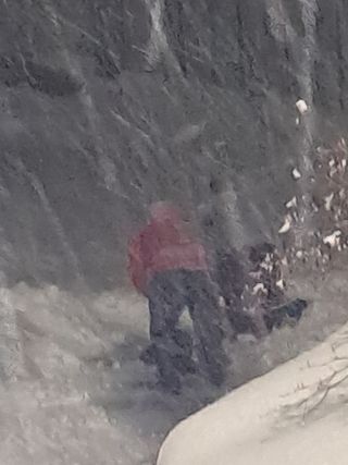 김기준님의 두릅 · 일상 작성글 사진