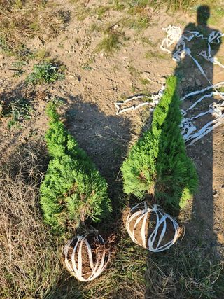 양순규 님의 기타작물 · 자유게시판 작성글 사진