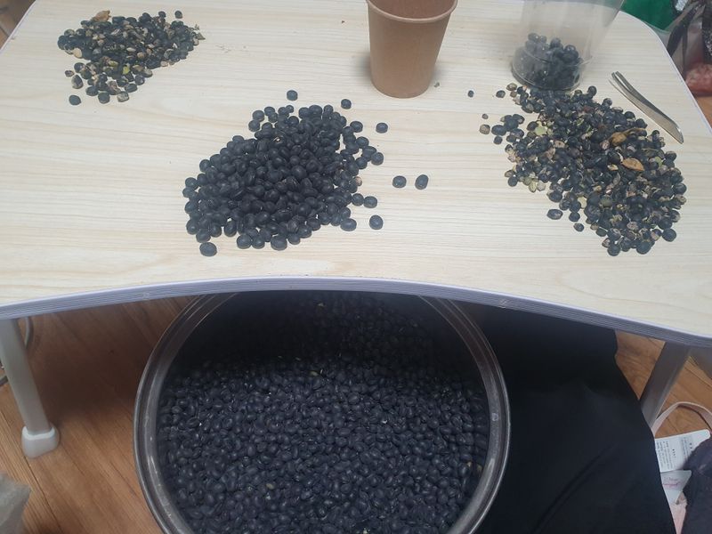 김현화님의 장터 판매 상품 [귀족서리태1kg. 토종오리알태1kg] 첨부 사진