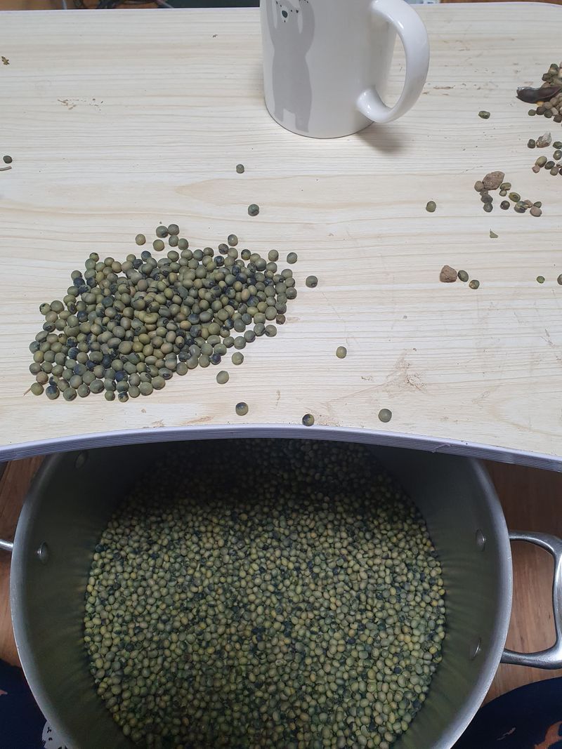 김현화님의 장터 판매 상품 [귀족서리태1kg. 토종오리알태1kg] 첨부 사진