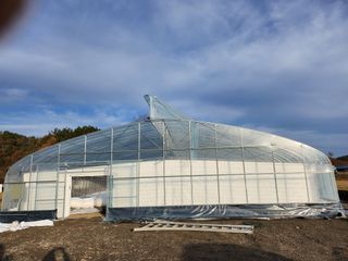 다디단 망고 농장님의 배 · 일상 작성글 사진