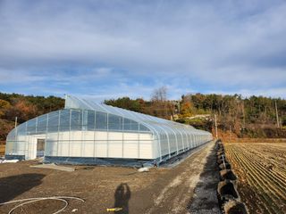 다디단 망고 농장님의 배 · 일상 작성글 사진