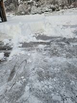 팜모닝 고추·일상 게시글 이미지