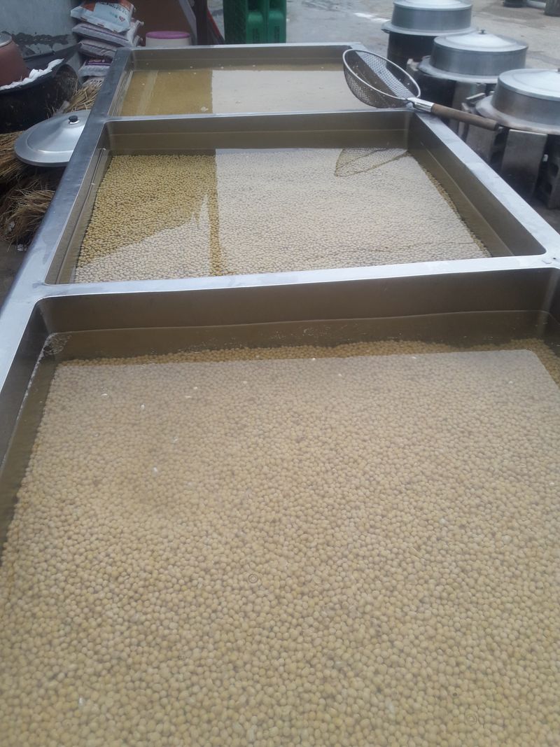 장터 상품 [백태  메주콩 300키로완판] 썸네일