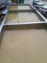 팜모닝 · 게시글 이미지