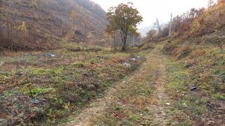 까두까두 님의 기타작물 · 자유게시판 작성글 사진