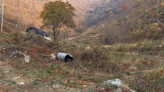 까두까두 님의 기타작물 · 자유게시판 작성글 사진