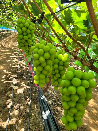 이원규님의 작성글 사진