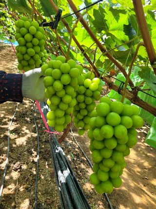 이원규님의 작성글 사진