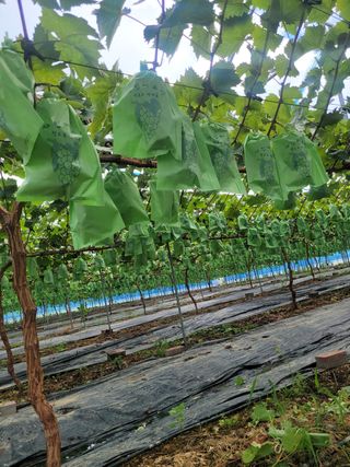 이원규님의 작성글 사진