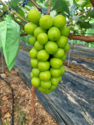 이원규님의 작성글 사진