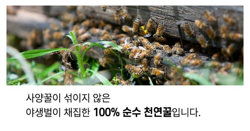 변순애님의 장터 판매 상품 [토종꿀 2.4kg  ] 첨부 사진