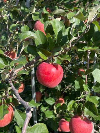 조순자님의 작성글 사진