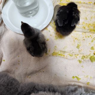 헤라여신^^♡님의 기타작물 · 자유게시판 작성글 사진