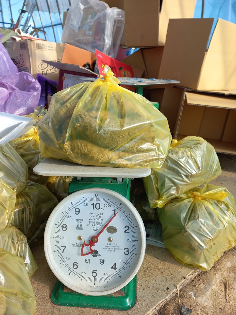 이명숙님의 장터 판매 상품 [더덕   판매완료] 첨부 사진