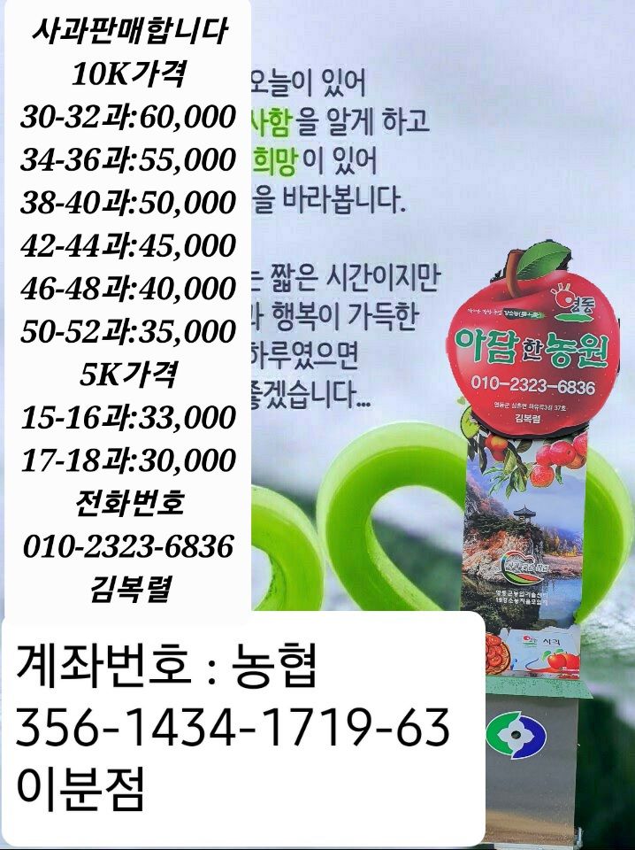 김복렬님의 장터 판매 상품 [곶감, 사과판매합니다 (5만원짜리는 품절)] 첨부 사진