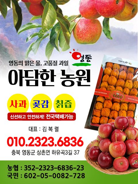 김복렬님의 장터 판매 상품 [곶감, 사과판매합니다 (5만원짜리는 품절)] 첨부 사진