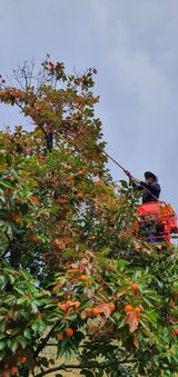 팜모닝 · 게시글 이미지