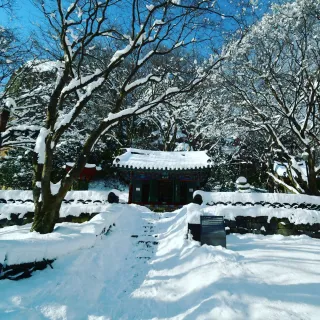 산 아래님의 마늘 · 일상 작성글 사진