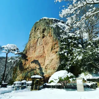 산 아래님의 마늘 · 일상 작성글 사진