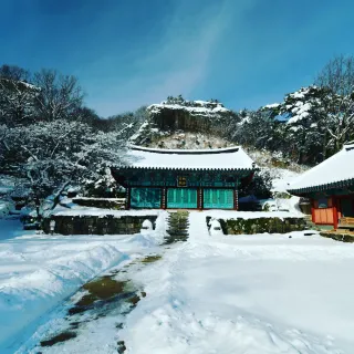 산 아래님의 마늘 · 일상 작성글 사진