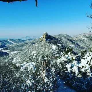 산 아래님의 마늘 · 일상 작성글 사진