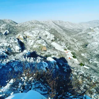 산 아래님의 마늘 · 일상 작성글 사진