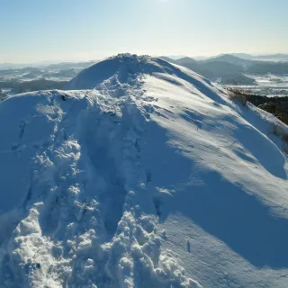 산 아래님의 마늘 · 일상 작성글 사진
