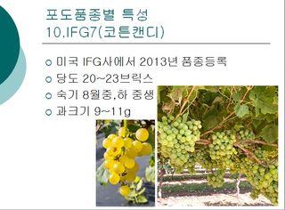 청은농장님의 작성글 사진