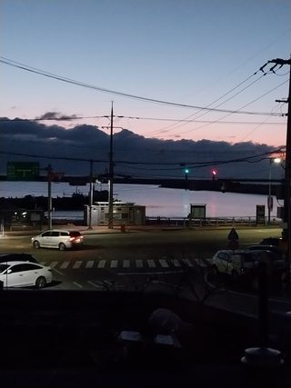 해안로님의 기타작물 · 자유게시판 작성글 사진