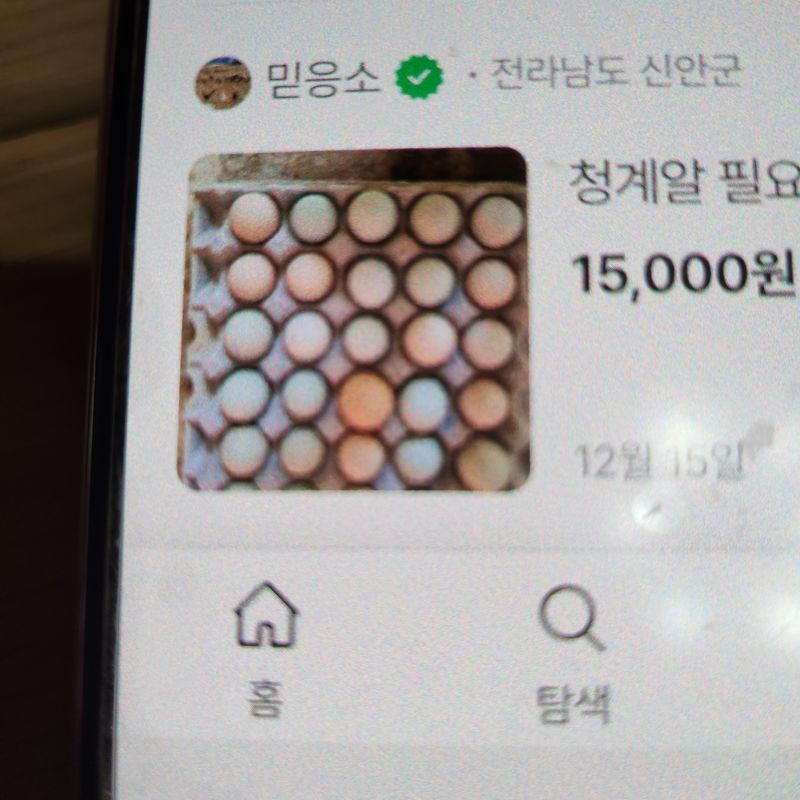 장터 상품 [청계알,기러기알] 썸네일