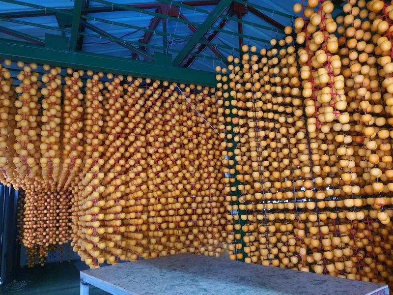 젊은농원 님의 장터 판매 상품 [영동곶감 ] 첨부 사진