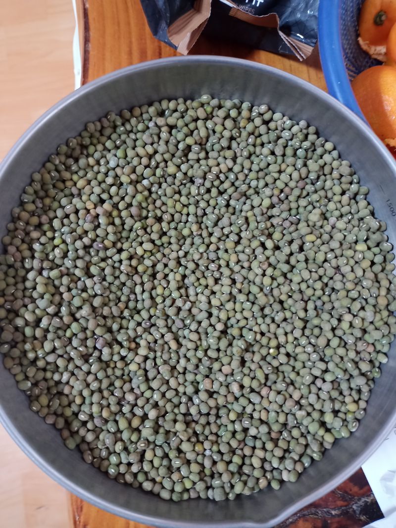 장터 상품 [녹두 1키로가격9000입니다] 썸네일