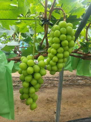 이원규님의 작성글 사진