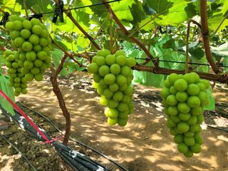 이원규님의 작성글 사진