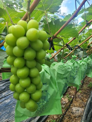 이원규님의 작성글 사진