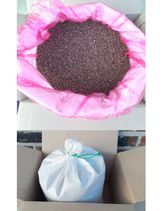 팜모닝 들깨·자유게시판 게시글 이미지