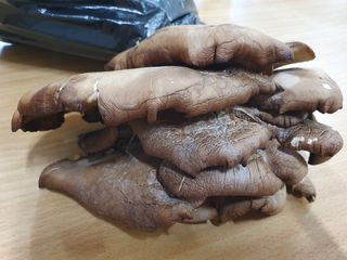 이은경님의 기타작물 · 자유게시판 작성글 사진